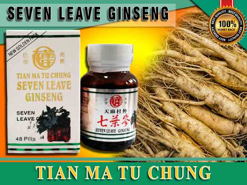 Manfaat Seven Leave Ginseng Untuk Kesehatan